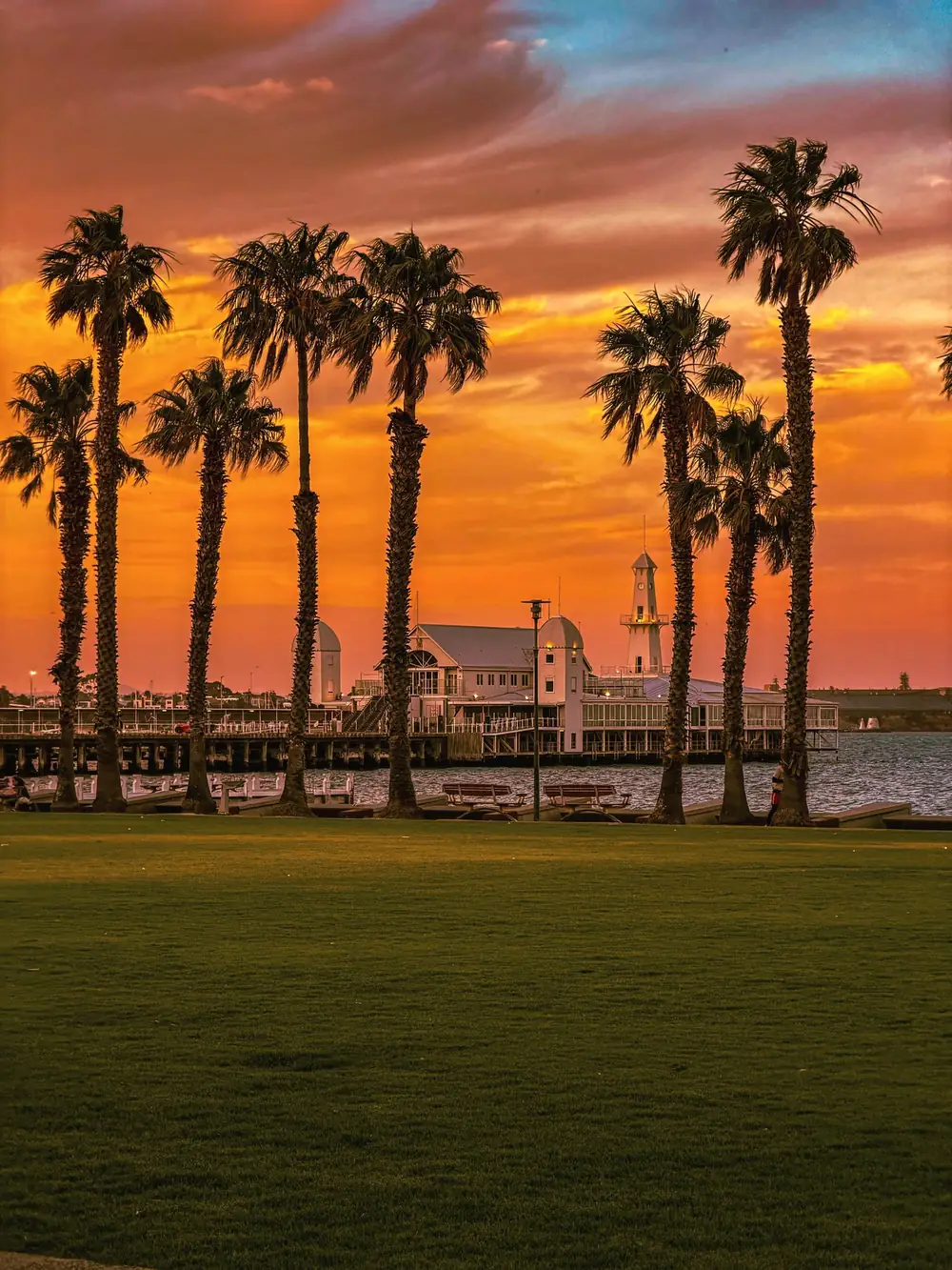 Palmenreihe an einer Uferpromenade vor orangefarbenem Abendhimmel